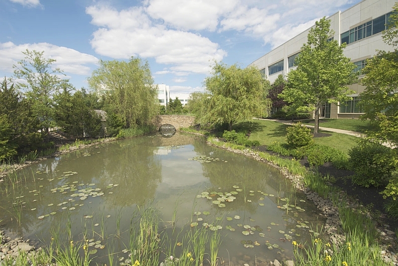 Whitesell Park NJ Burlington County Mount Laurel 750